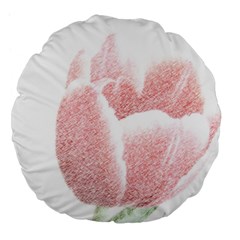 Tulip Red White Pencil Drawing Large 18  Premium Flano Round Cushions