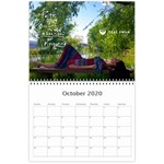 Teal Swan Wall Calendar - 2020 Oct 2020