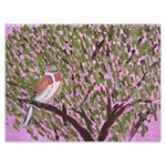 Bird Paintings Wall Calendar 11 x 8.5 (12-Months) Last Logo Page