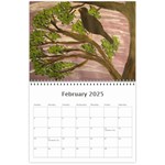 Bird Paintings Wall Calendar 11 x 8.5 (12-Months) Feb 2025