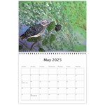Bird Paintings Wall Calendar 11 x 8.5 (12-Months) May 2025