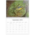 Bird Paintings Wall Calendar 11 x 8.5 (12-Months) Sep 2025