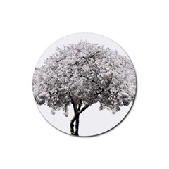 Nature Tree Blossom Bloom Cherry Rubber Coaster (round) 