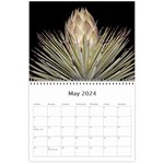 Joshua Tree Wall Calendar 11 x 8.5 (12-Months) May 2024