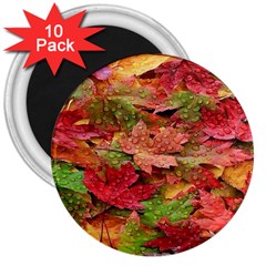 Spring Leafs 3  Magnets (10 Pack) 