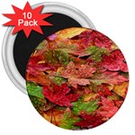 Spring Leafs 3  Magnets (10 pack)  Front