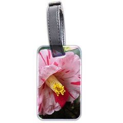 Striped Pink Camellia Ii Luggage Tag (two Sides)
