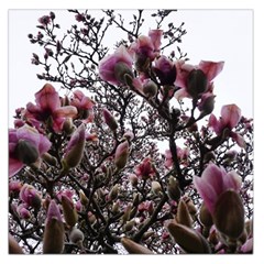 Saucer Magnolia Tree Ii Large Satin Scarf (square)