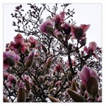 Saucer Magnolia Tree II Large Satin Scarf (Square) Front