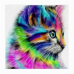 Rainbowcat Medium Glasses Cloth (2 Sides) by Sparkle