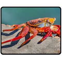 Colored Crab, Galapagos Island, Ecuador Fleece Blanket (medium) 