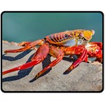 Colored Crab, Galapagos Island, Ecuador Fleece Blanket (Medium)  60 x50  Blanket Front