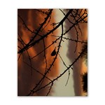 Bird on branches Poster 16  x 20  Front