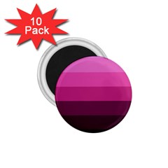Pink Gradient Stripes 1 75  Magnets (10 Pack) 