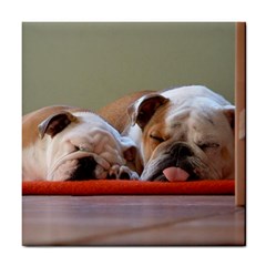 2 Sleeping Bulldogs Tile Coaster