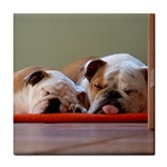 2 Sleeping Bulldogs Tile Coaster Front