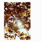 Golden Leaf s Large Garden Flag (Two Sides) Front