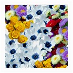 Backgrounderaser 20220502 021714655 Medium Glasses Cloth (2 Sides) Back