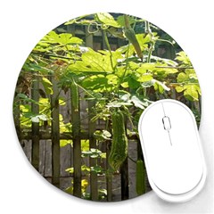 Bitter Melon Round Mousepads