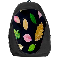 Autumn-b 002 Backpack Bag by nate14shop