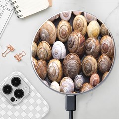 Snail Shells Pattern Arianta Arbustorum Wireless Charger