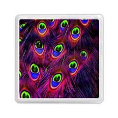 Peacock-feathers Memory Card Reader (square)
