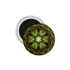 Fractal Fantasy Design Background 1 75  Magnets