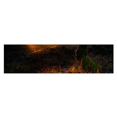 Sunset Forest Fall Sunbeams Nature Oblong Satin Scarf (16  X 60 )