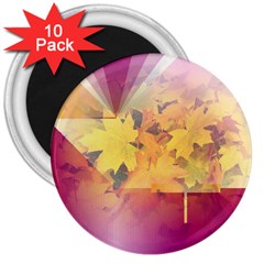 Colorful Nature 3  Magnets (10 Pack) 