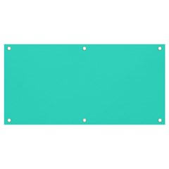 Color Turquoise Banner And Sign 4  X 2  by Kultjers