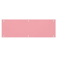 Color Light Pink Banner And Sign 6  X 2  by Kultjers