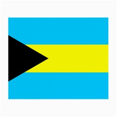 Bahamas Small Glasses Cloth