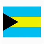 Bahamas Small Glasses Cloth Front