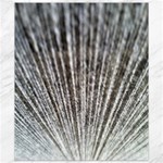 Light Cloud Canvas 8  x 10  8.15 x9.66  Canvas - 1