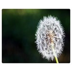 White Flower One Side Premium Plush Fleece Blanket (Medium) 60 x50  Blanket Front