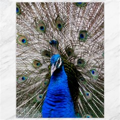 Peacock Bird Animal Feather Nature Colorful Canvas 36  X 48 