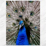 Peacock Bird Animal Feather Nature Colorful Canvas 36  x 48  35.26 x46.15  Canvas - 1
