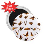 Butterfly Butterflies Insect Swarm 2.25  Magnets (100 pack)  Front