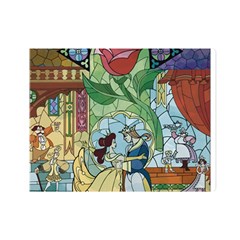 Beauty Stained Glass Premium Plush Fleece Blanket (mini)