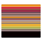 Neopolitan Horizontal Lines Strokes Premium Plush Fleece Blanket (Small) 50 x40  Blanket Front