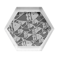 Sea Fish Illustrations Hexagon Wood Jewelry Box by Mariart