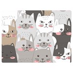 Cute Cats Seamless Pattern Two Sides Premium Plush Fleece Blanket (Extra Small) 40 x30  Blanket Front