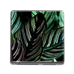 Calathea Leaves Strippe Line Memory Card Reader (square 5 Slot) by Ravend