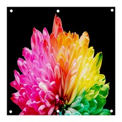 Abstract, Amoled, Back, Flower, Green Love, Orange, Pink, Banner And Sign 3  X 3 
