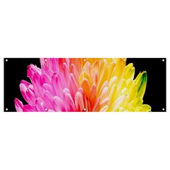 Abstract, Amoled, Back, Flower, Green Love, Orange, Pink, Banner And Sign 12  X 4 