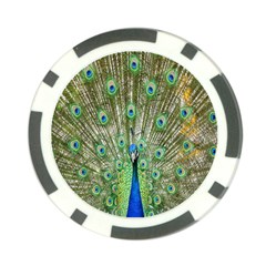 Peacock,army 1 Poker Chip Card Guard (10 Pack)