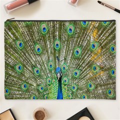 Peacock,army 1 Cosmetic Bag (xxxl)