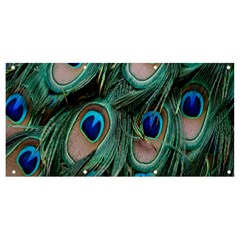 Peacock-feathers,blue2 Banner And Sign 8  X 4 