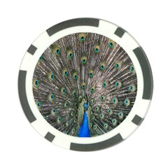 Peacock-feathers1 Poker Chip Card Guard (10 Pack)