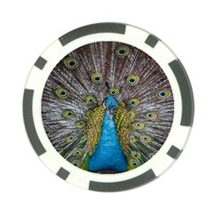 Peacock-feathers2 Poker Chip Card Guard (10 Pack)